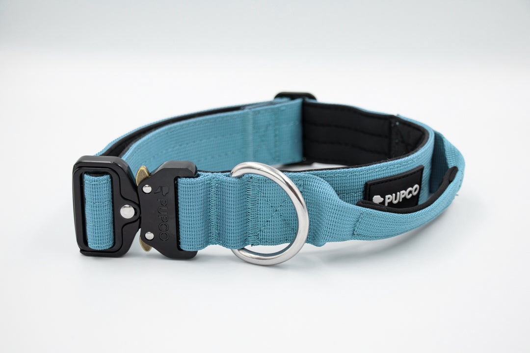 Performance collar with handle 4CM - Sky blue