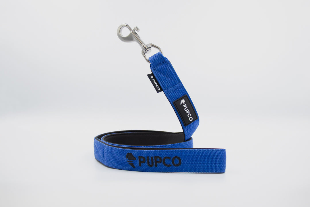 Classic lead - Royal blue