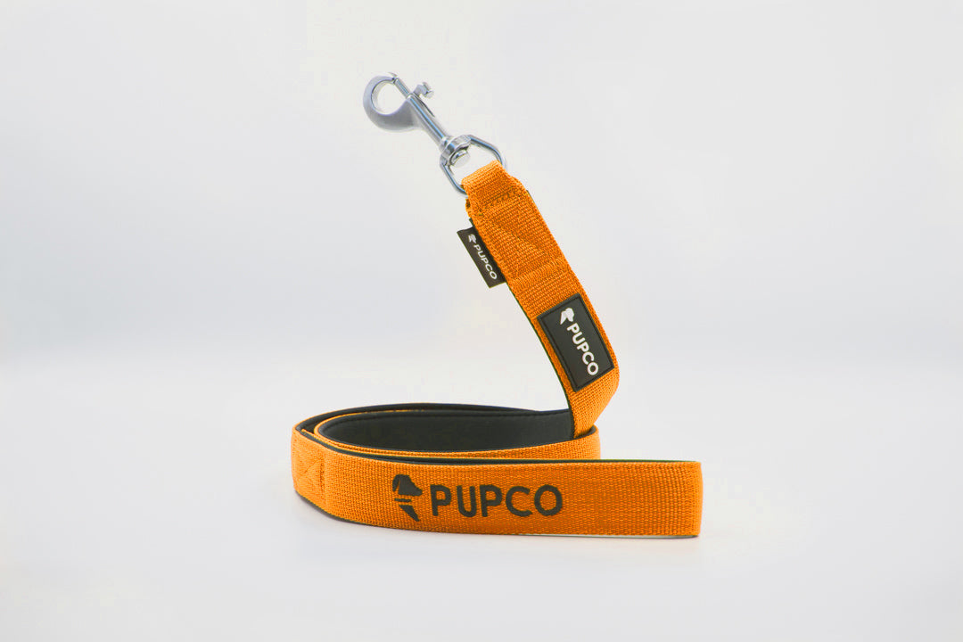 Classic lead - Orange