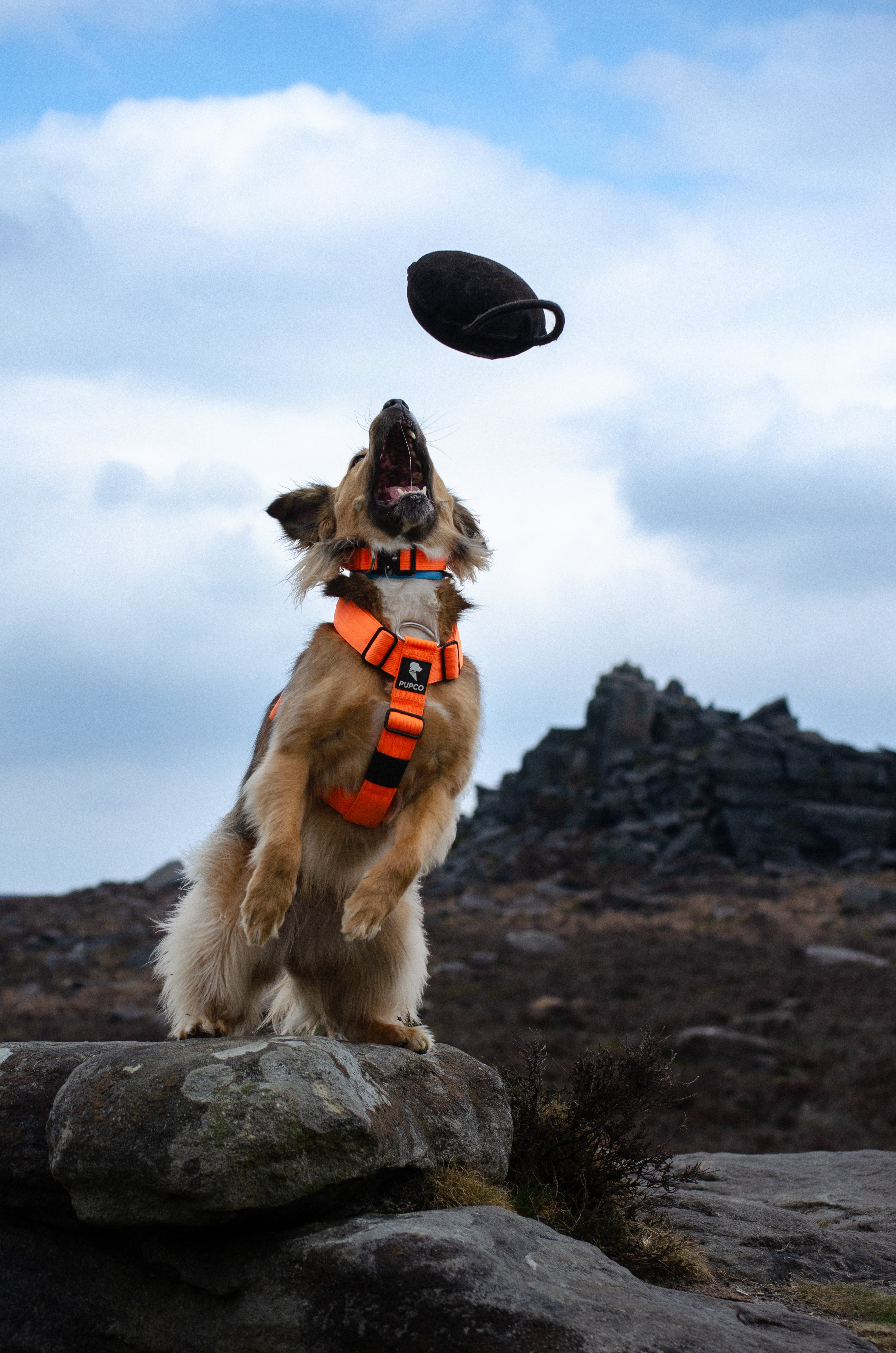 Pupco - Bite bag