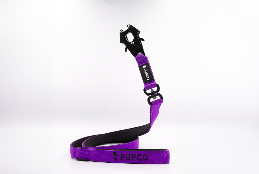 Performance lead - purple