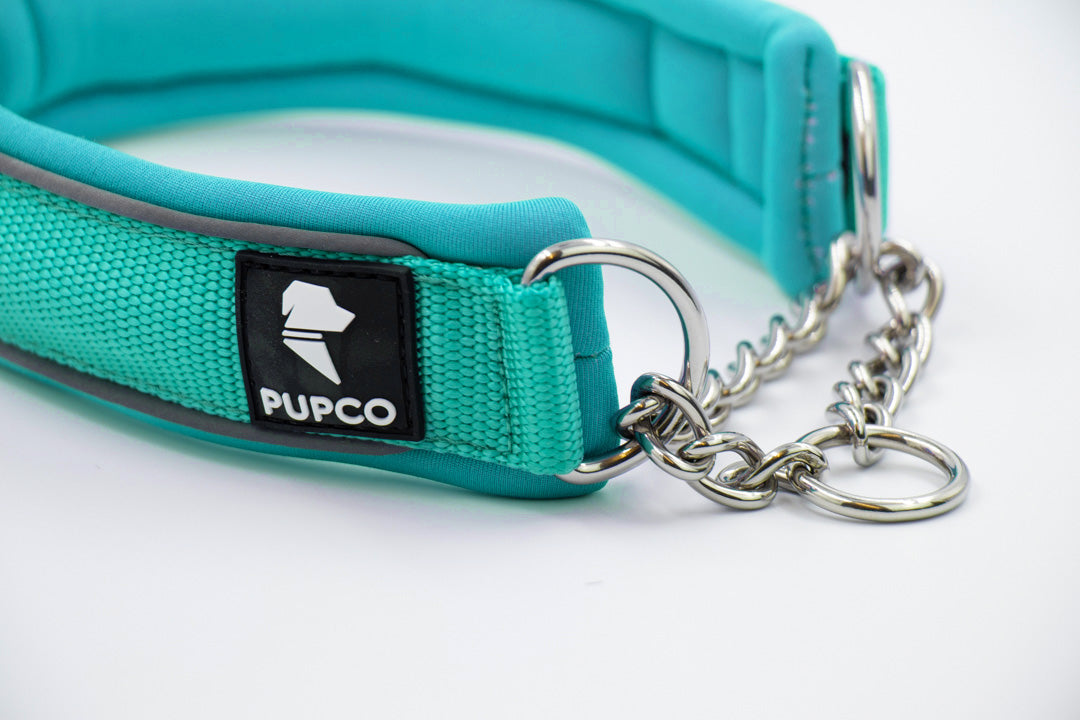 Martingale collar - Turqouise