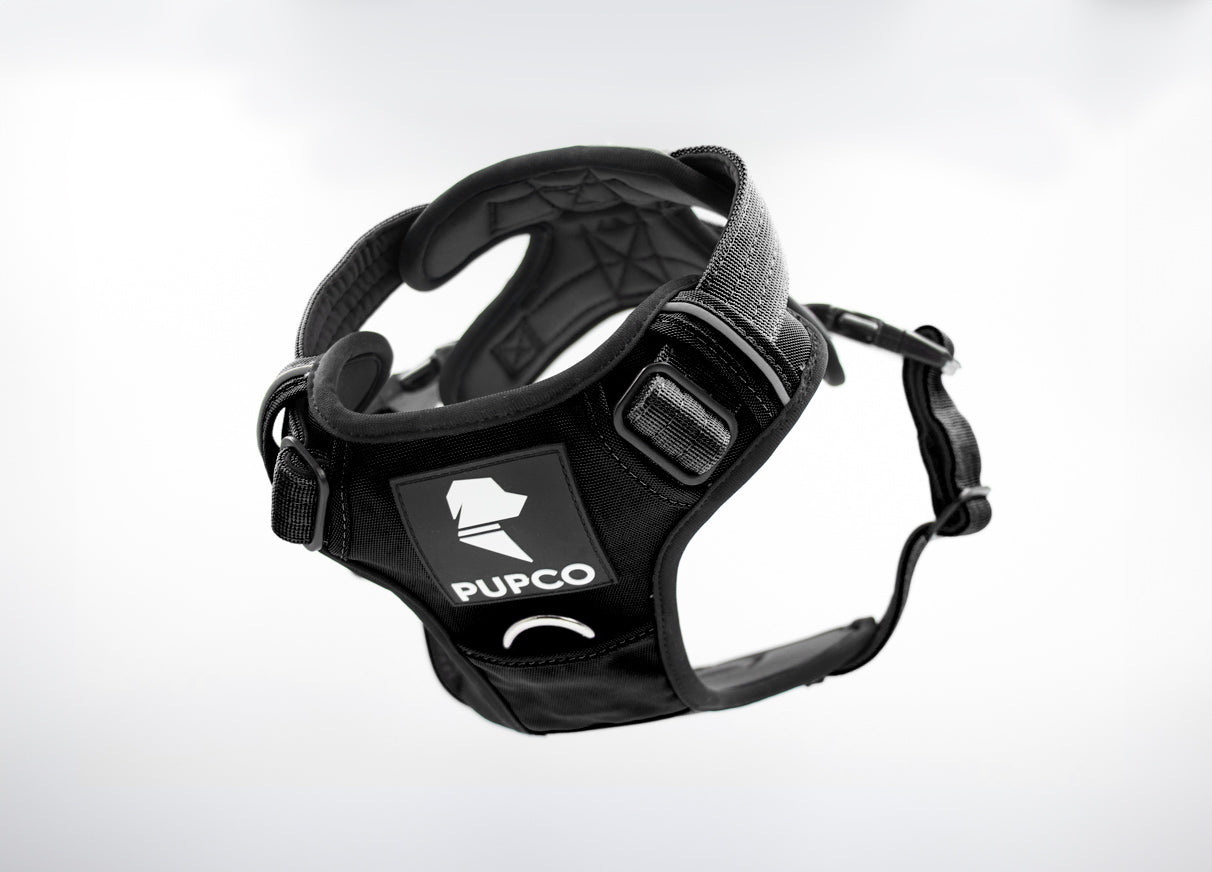 Prime harness - Black