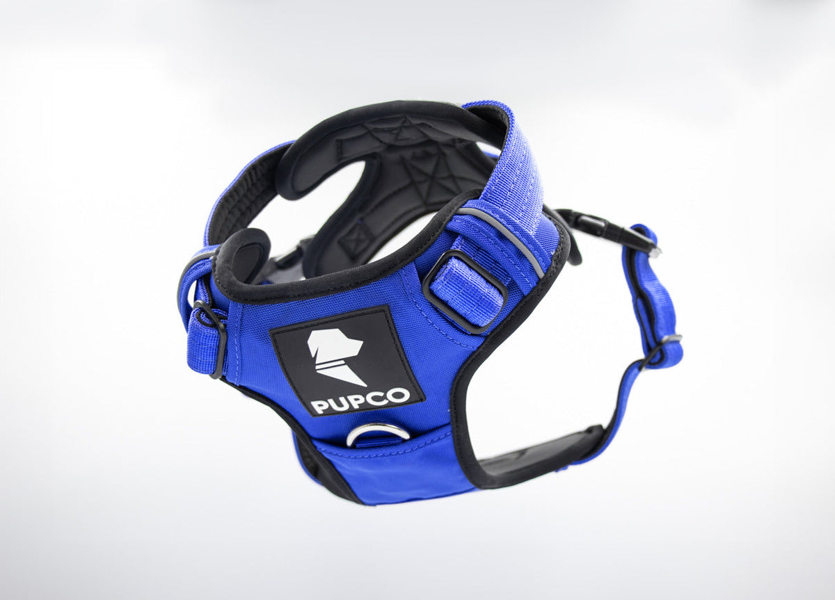Prime harness bundle - Blue