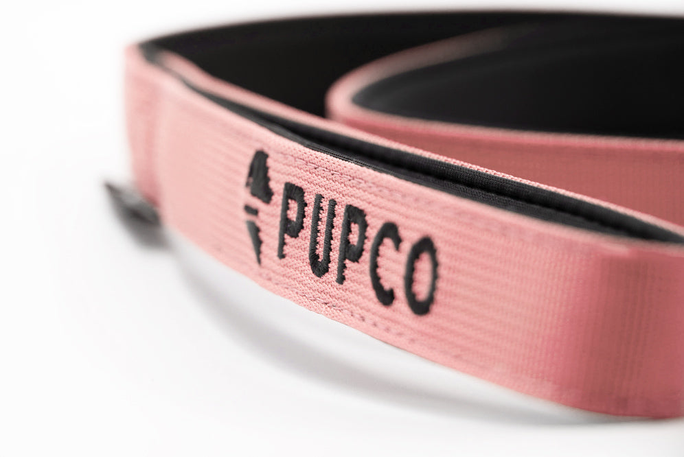 Performance lead - pink