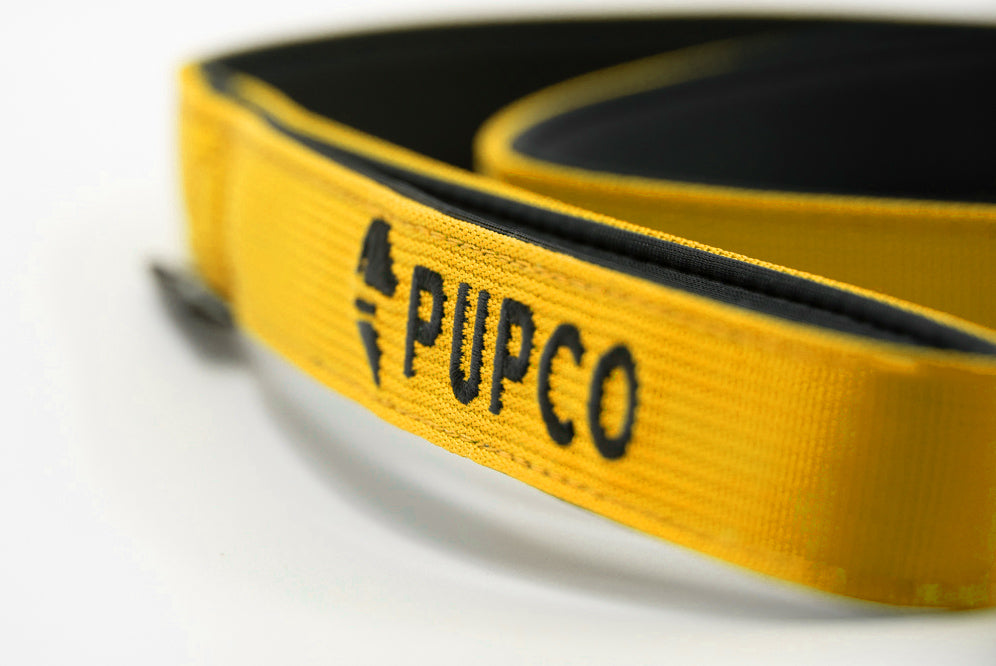 Performance lead - Yellow