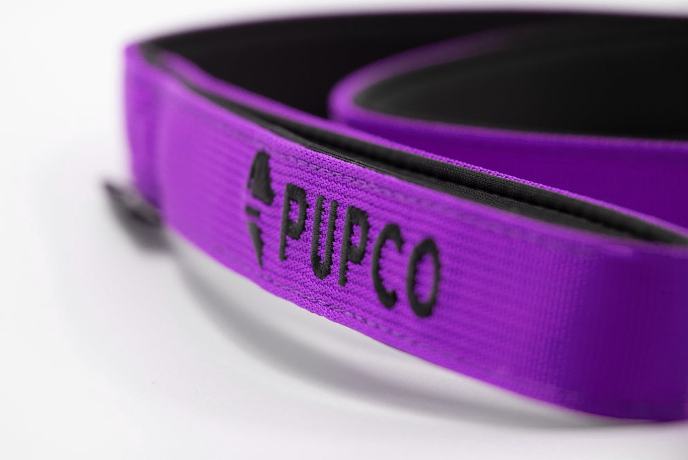 Performance lead - purple