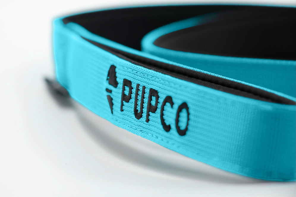 Performance lead - Aqua