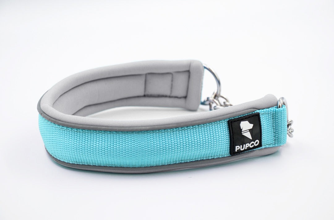 Martingale collar - Sky blue/Grey
