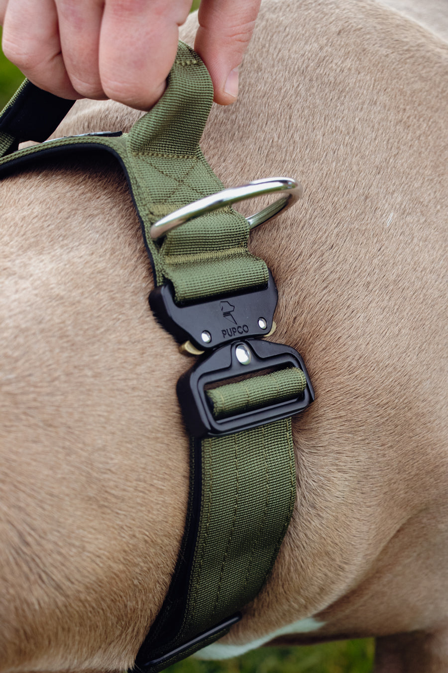 Performance collar with handle 5CM - Khaki