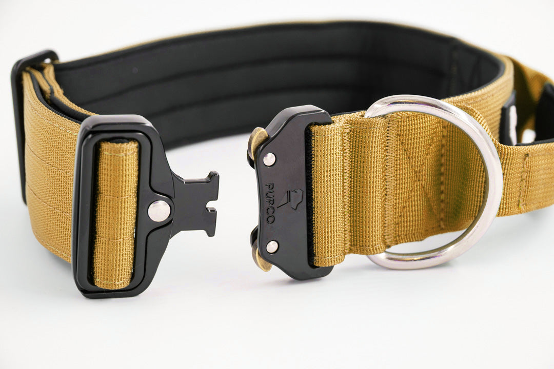 Performance collar with handle 5CM - Tan