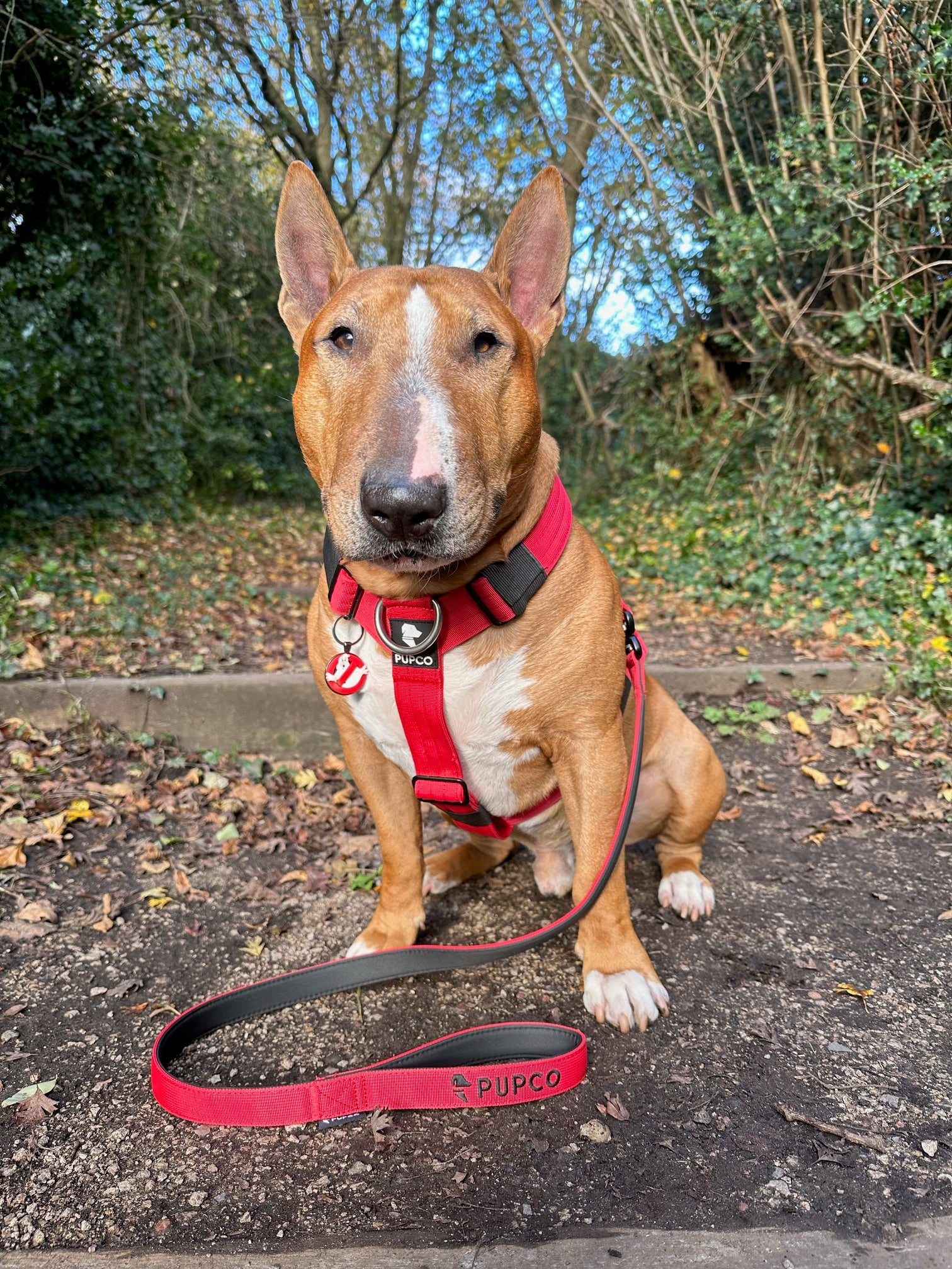 Ultra Harness - Anti pull - Red