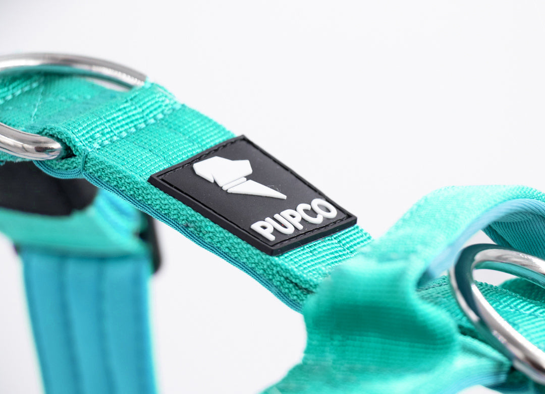 Ultra Harness - Anti pull - Turquoise