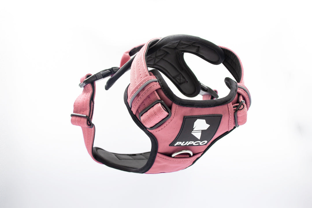 Prime harness - Pink