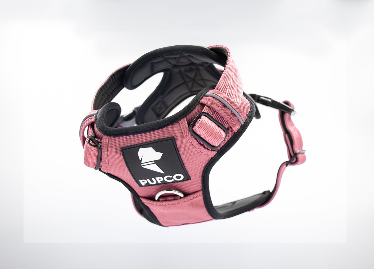 Prime harness - Pink