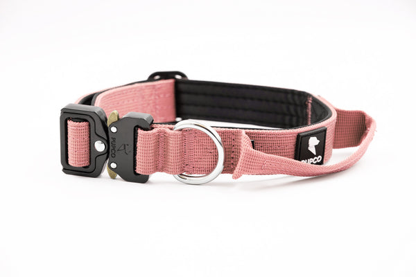 Performance collar - 2.5cm (Smaller breed/Puppy) - Pink