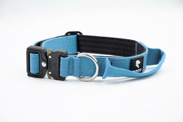 Performance collar - 2.5cm (Smaller breed/Puppy) - Sky blue