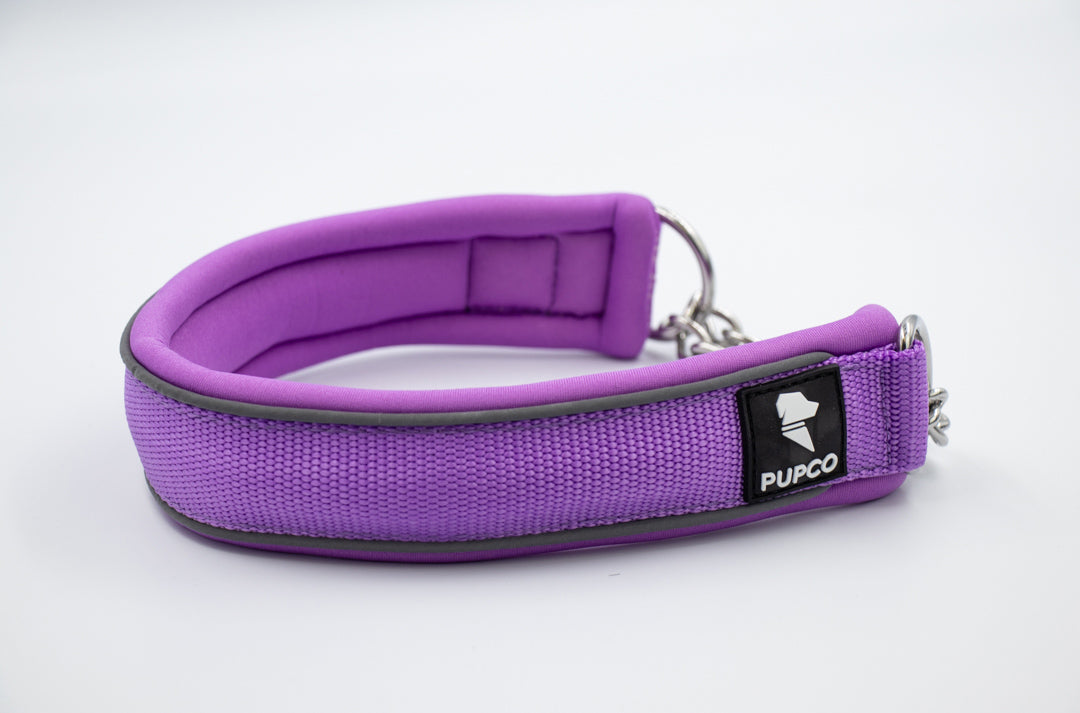 Martingale collar - Purple