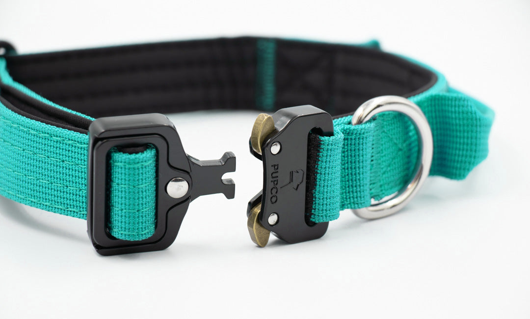 Performance collar - 2.5cm (Smaller breed/Puppy) - Turqouise