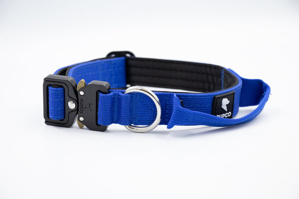 Performance collar - 2.5cm (Smaller breed/Puppy) - Blue