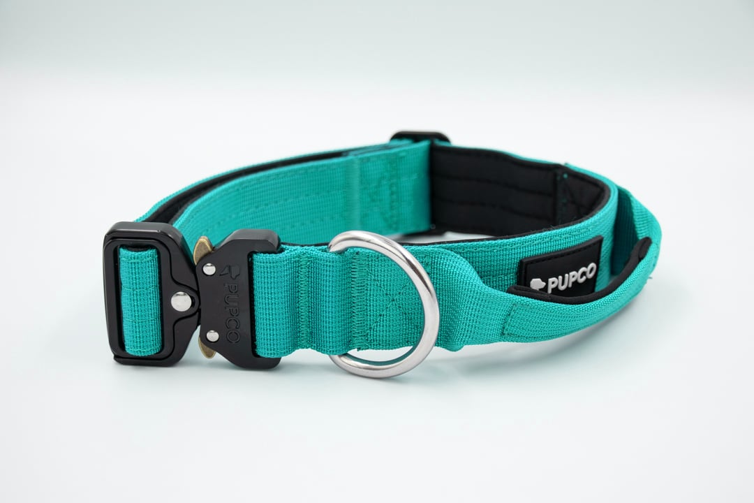 Performance collar with handle 4CM - Turquoise