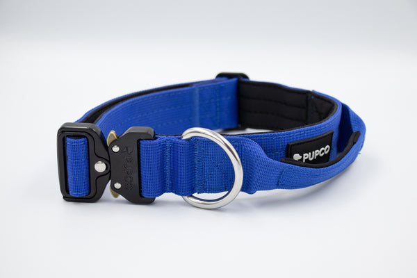 Performance collar with handle 4CM - Royal blue