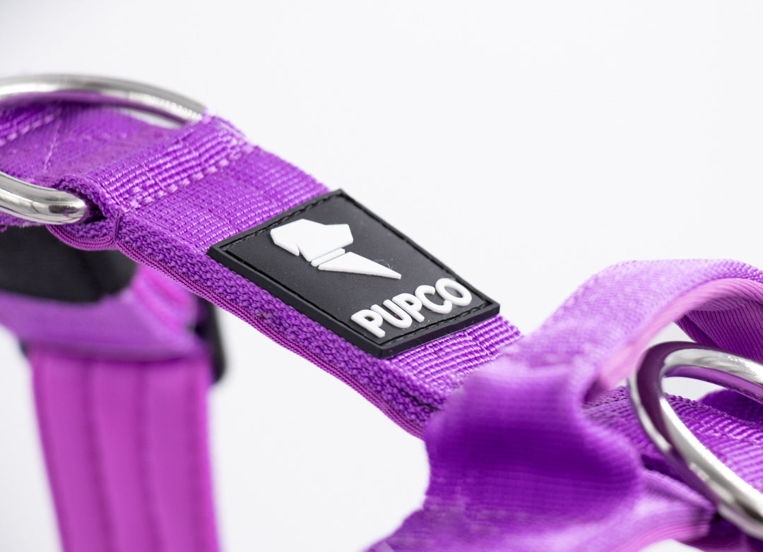 Ultra Harness - Anti pull - Purple