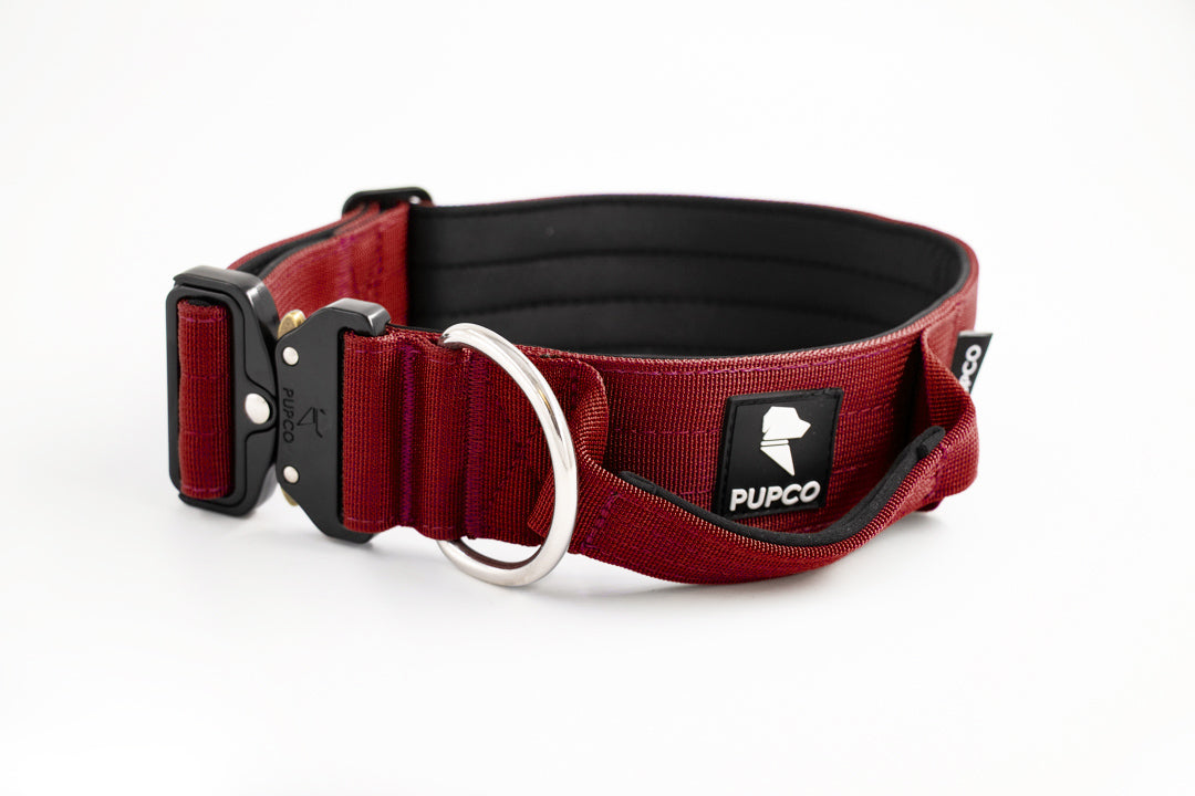 Performance collar with handle 5CM - Burgundy