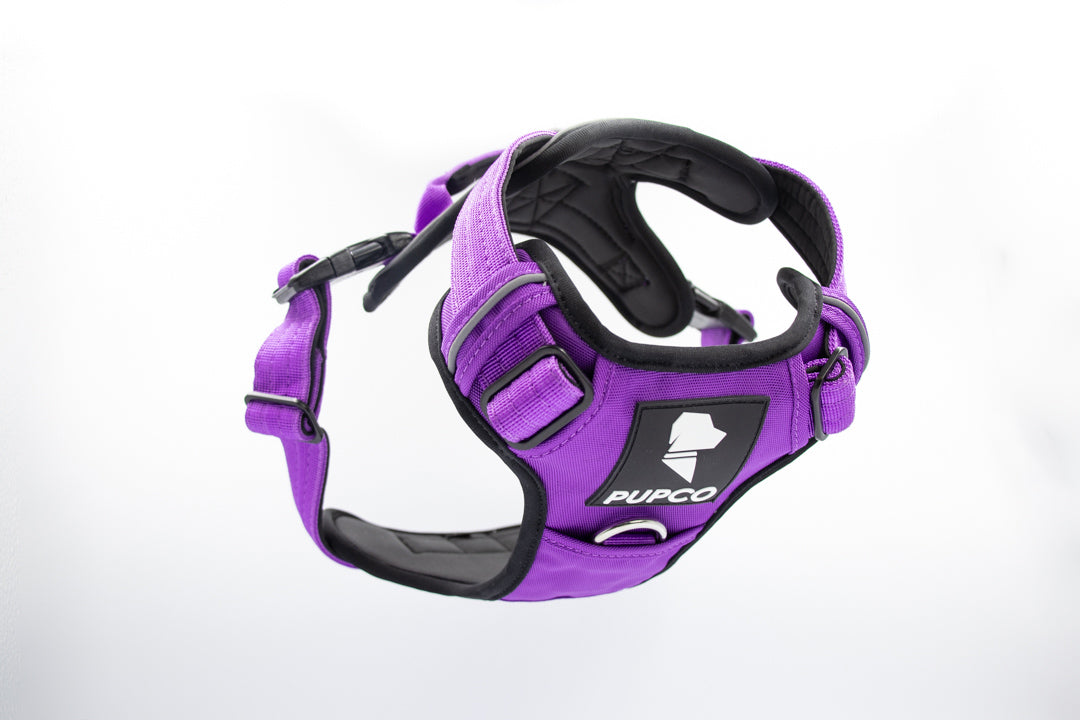Prime harness bundle - Purple