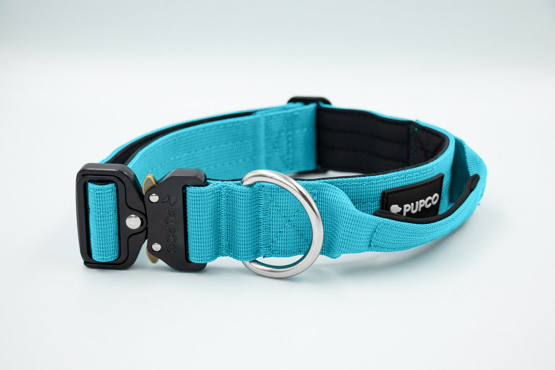 Performance collar with handle 4CM - Aqua