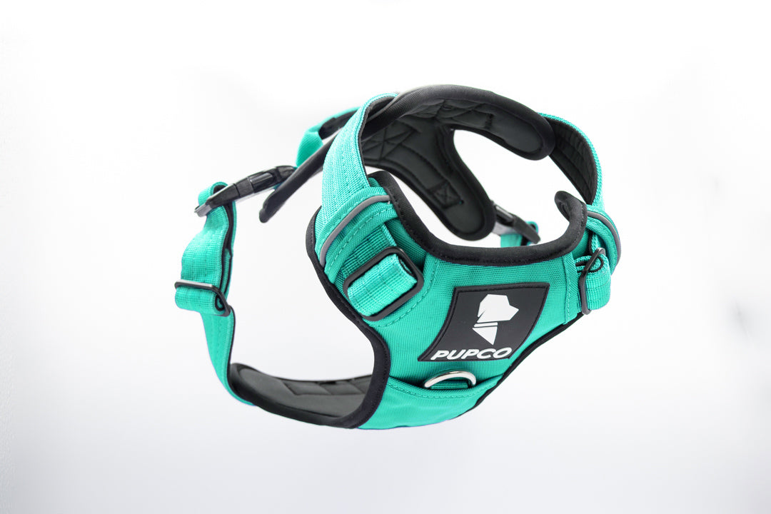 Prime harness - Turquoise