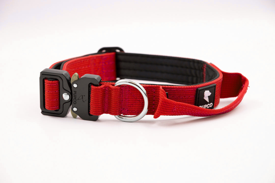 Performance collar - 2.5cm (Smaller breed/Puppy) - Red