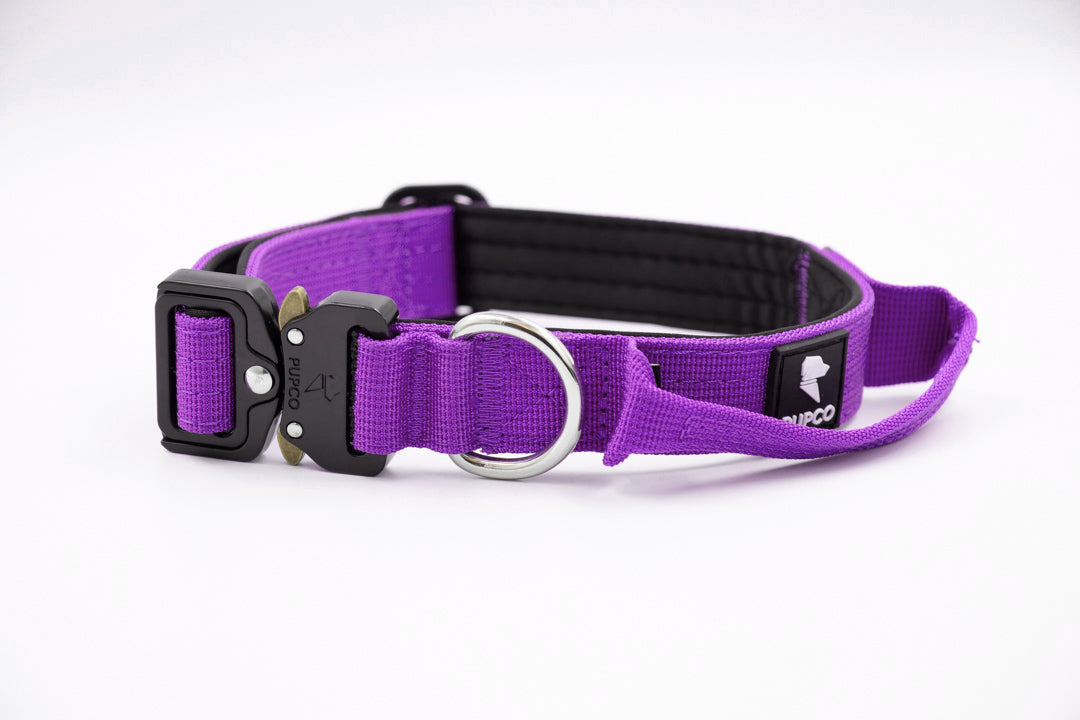 Performance collar - 2.5cm (Smaller breed/Puppy) - Purple