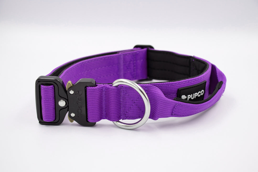 Performance collar with handle 4CM - Purple