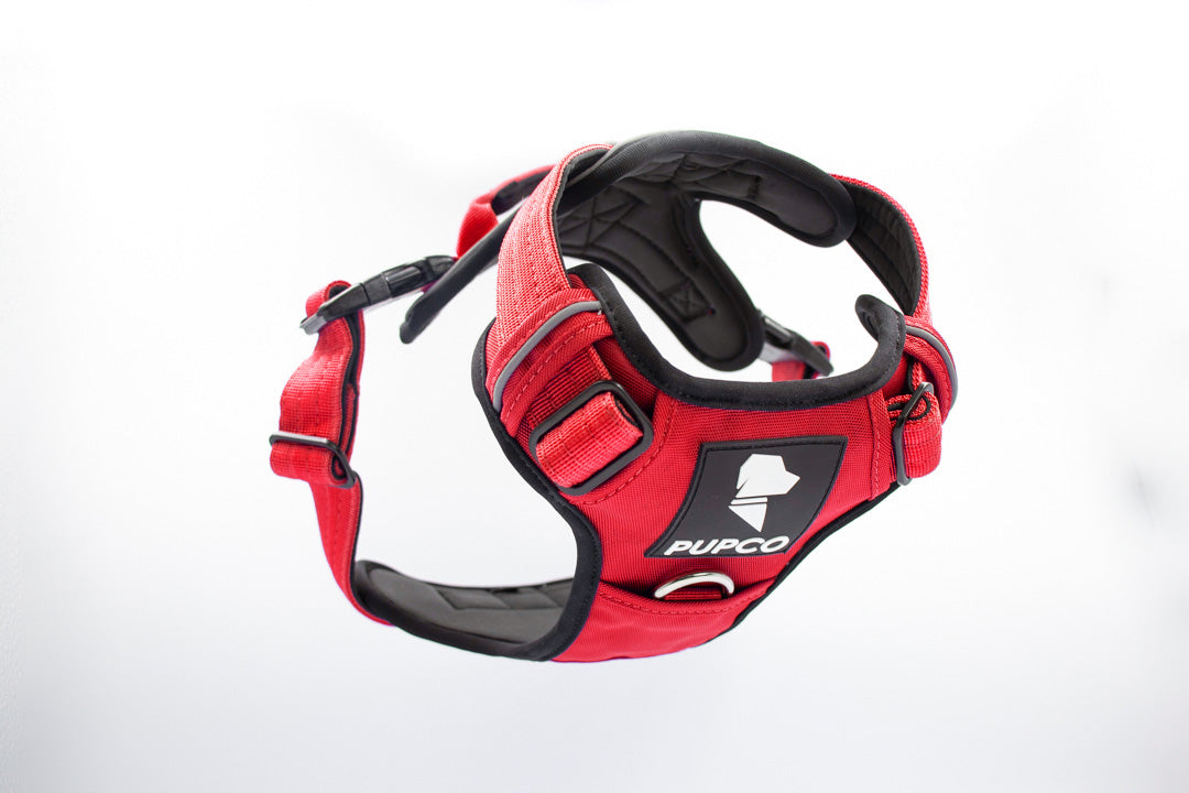 Prime harness - Red