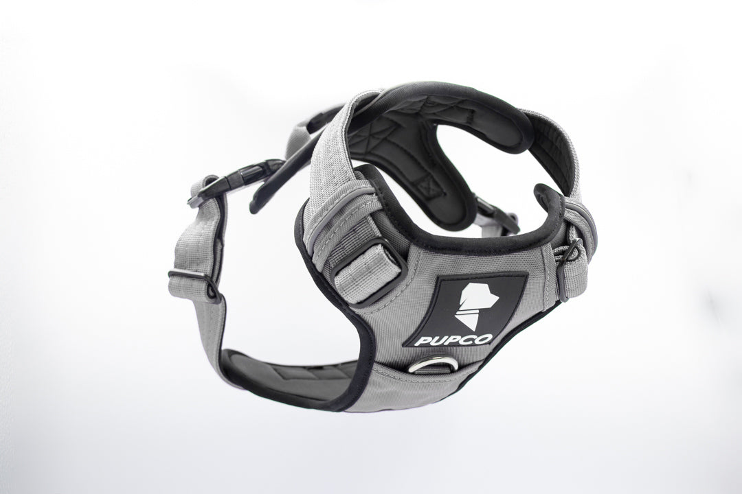 Prime harness - Grey