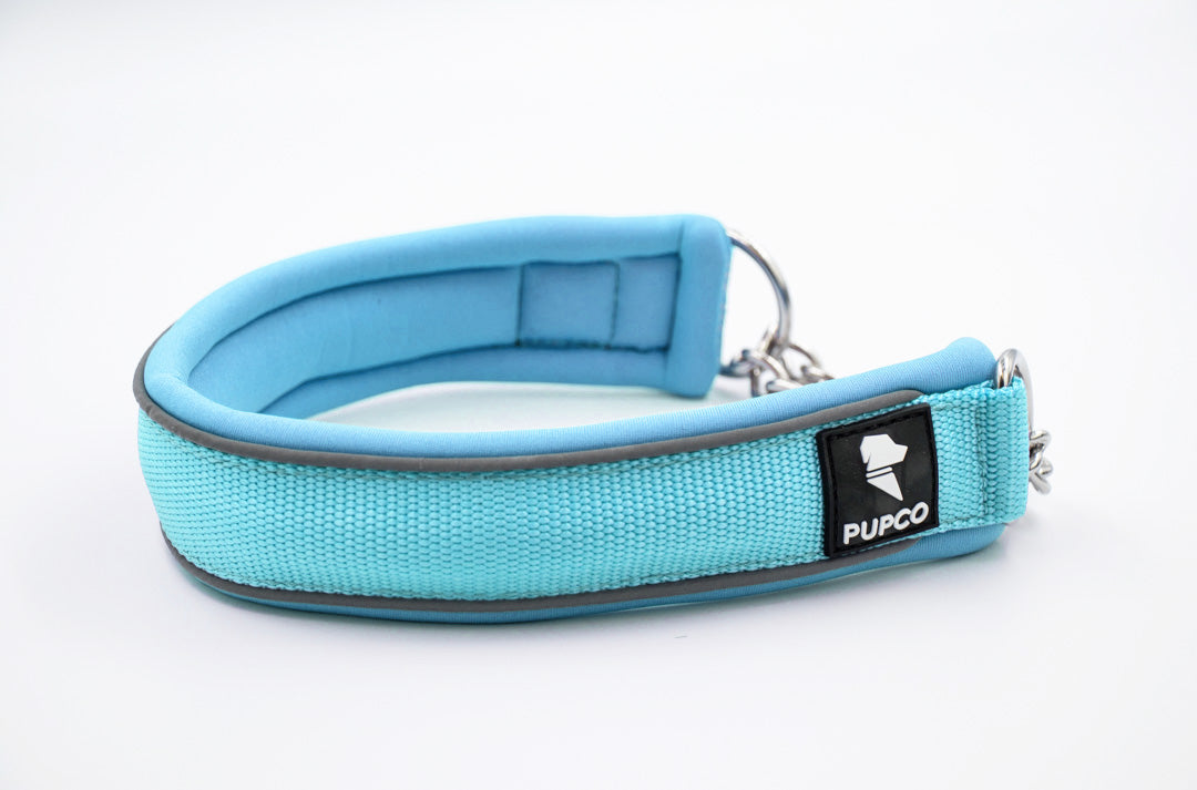 Martingale collar - Sky blue