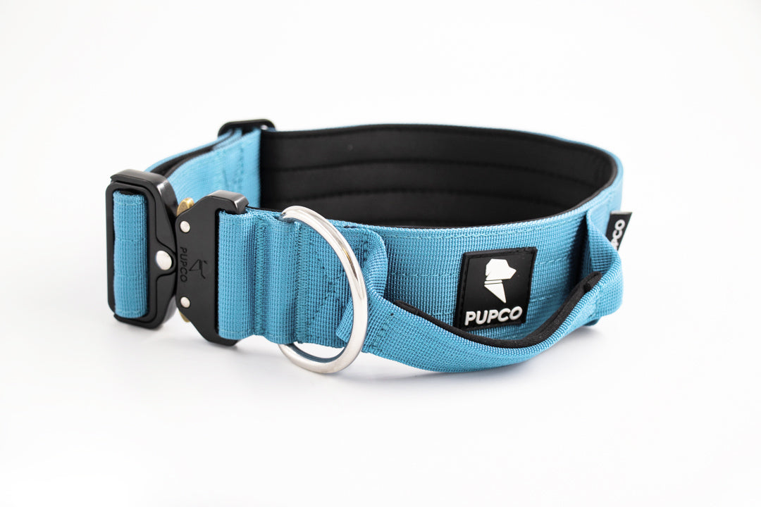 Performance collar with handle 5CM - Sky blue