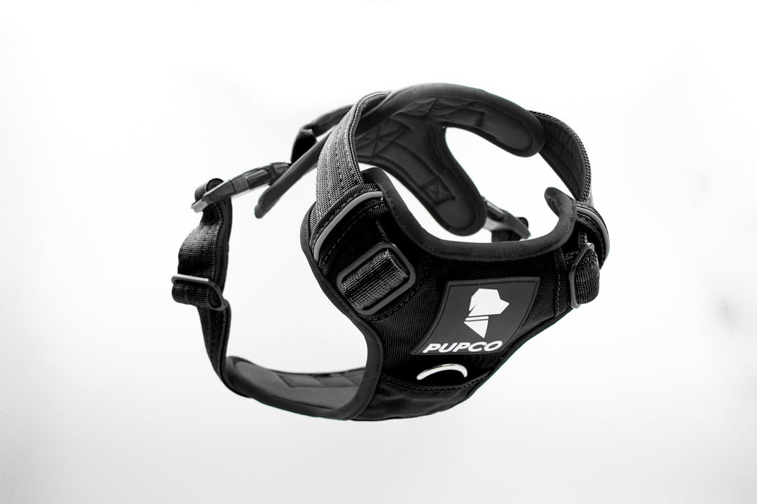 Prime harness - Black