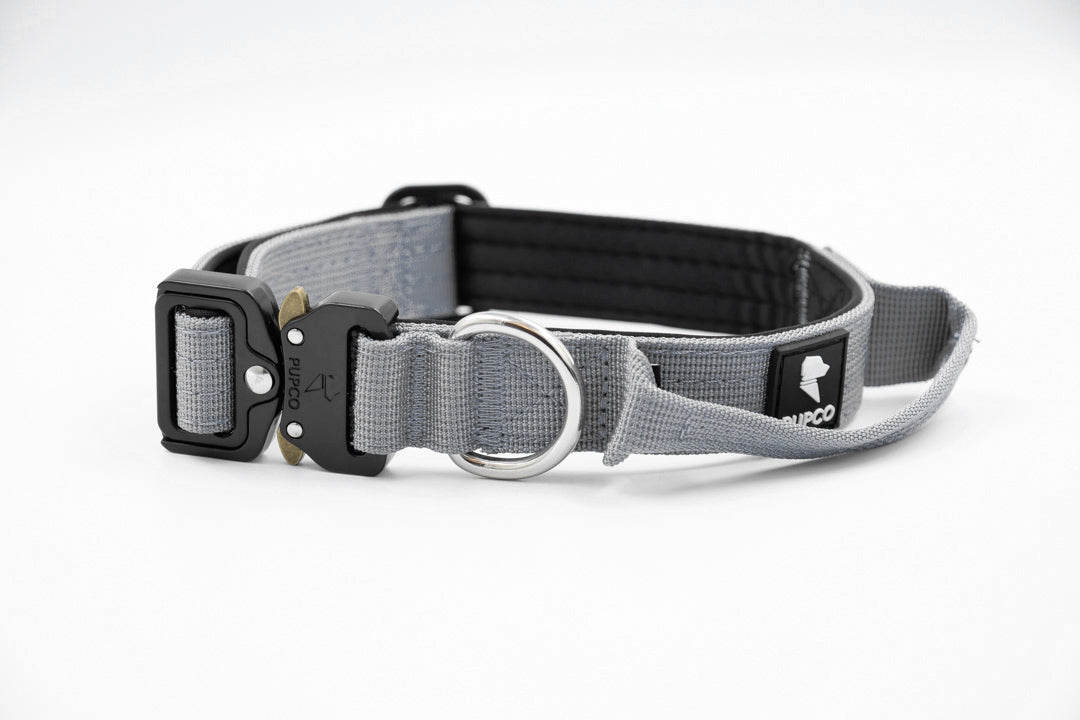 Performance collar - 2.5cm (Smaller breed/Puppy) - Grey