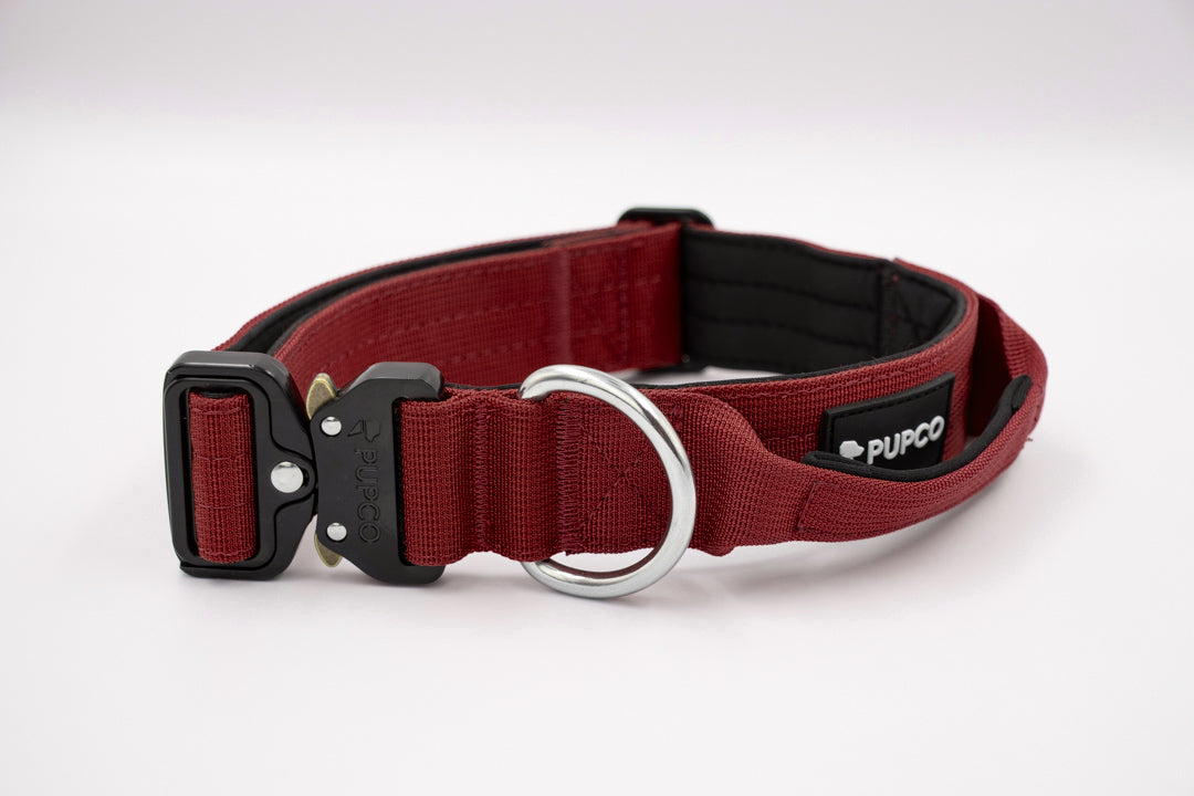 Performance collar with handle 4cm - Burgundy