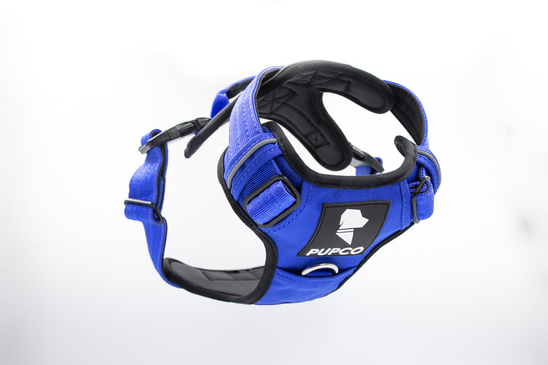 Prime harness bundle - Blue