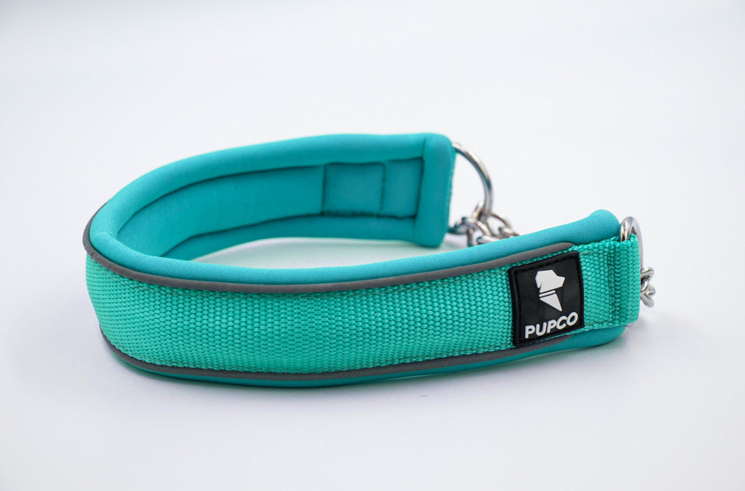 Martingale collar - Turqouise