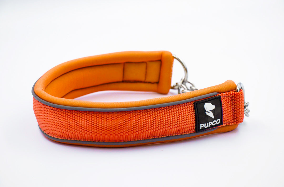 Martingale collar - Orange