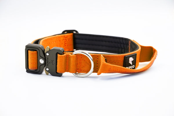 Performance collar - 2.5cm (Smaller breed/Puppy) - Orange