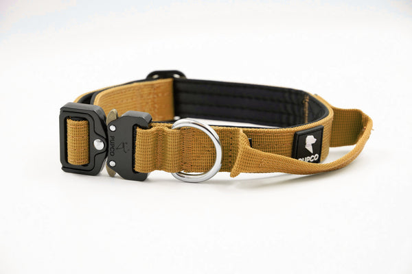 Performance collar - 2.5cm (Smaller breed/Puppy) - Tan
