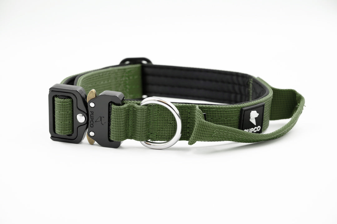 Performance collar - 2.5cm (Smaller breed/Puppy) - Khaki