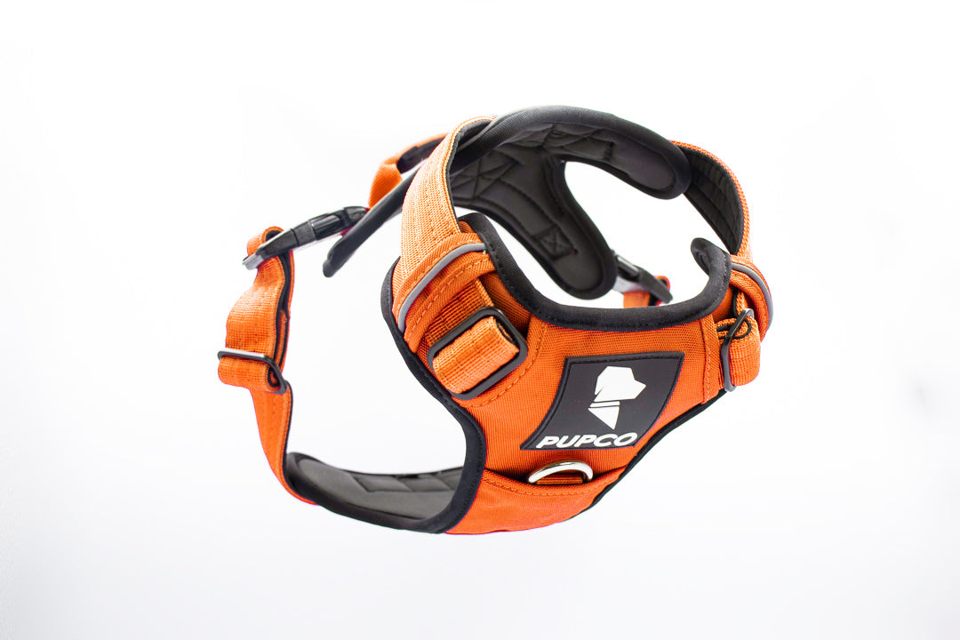 Prime harness - Orange