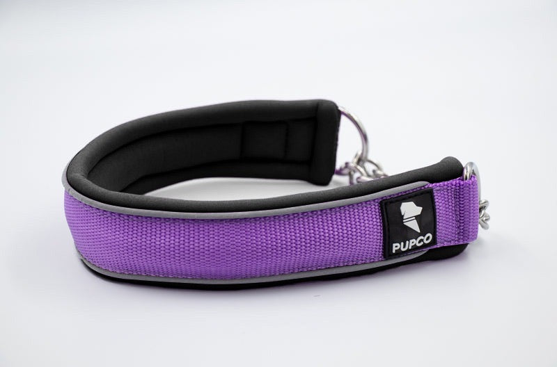 Martingale collar - Purple/ Black