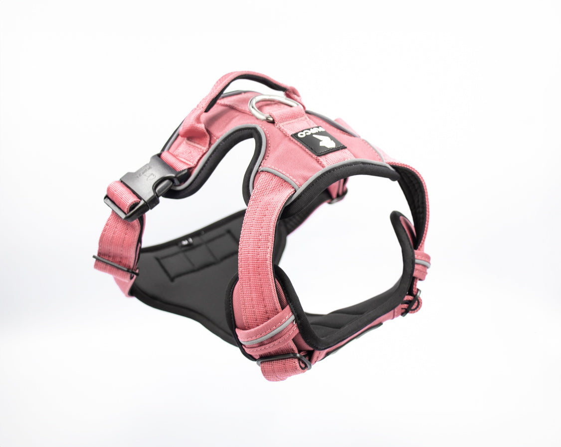 Prime harness - Pink